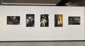 Weiz Exhibition - © Pashmin Art